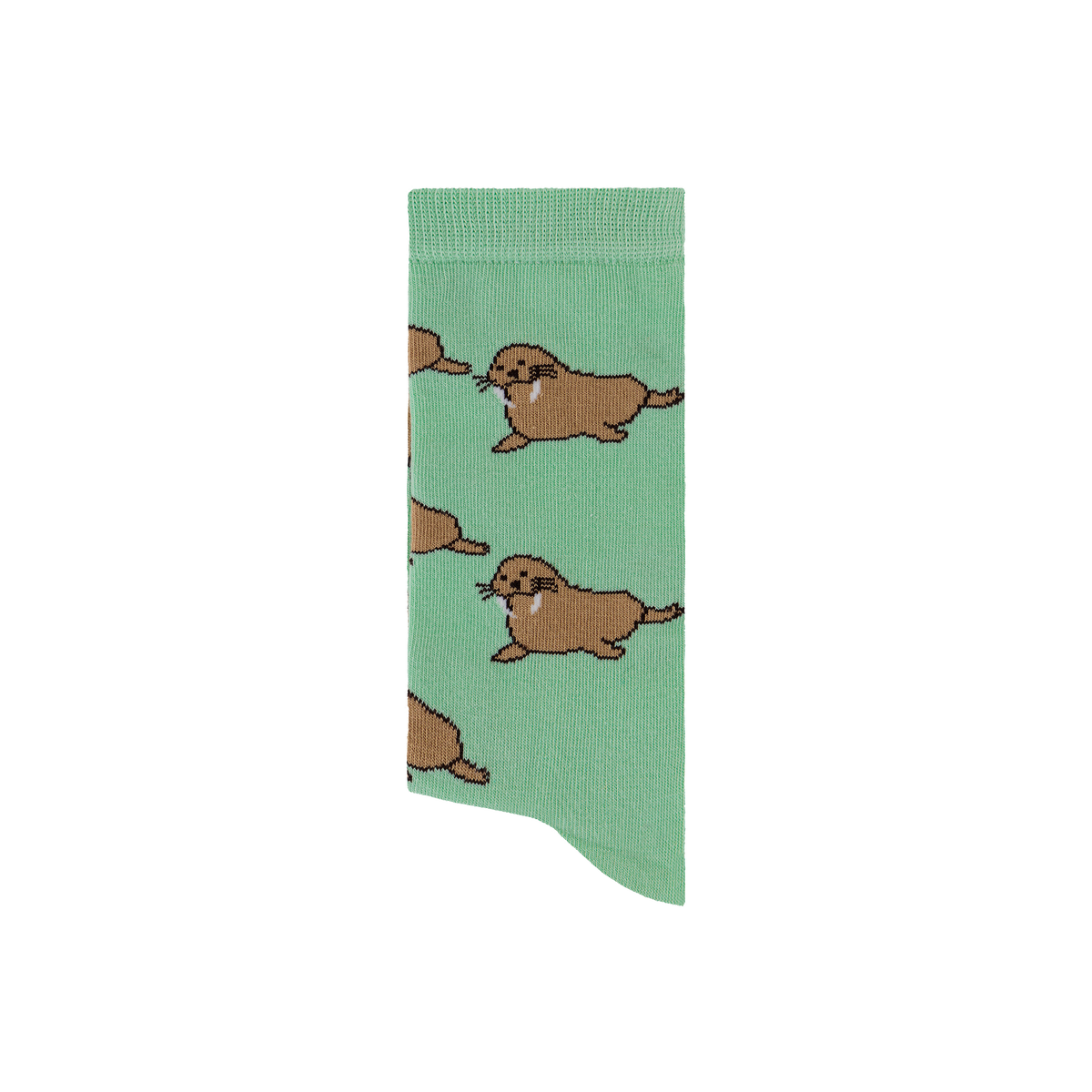 Walrus Socks – Soxology